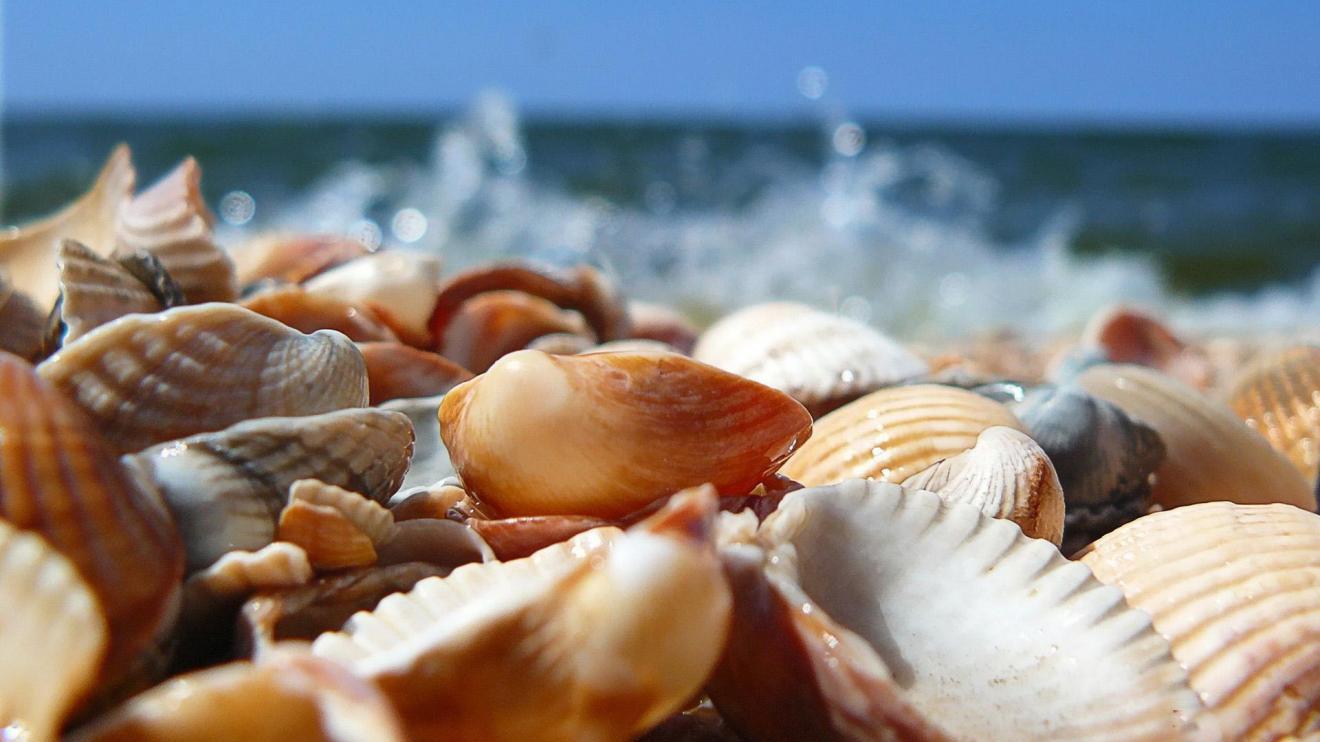 |职场上，如何处理“意外”？