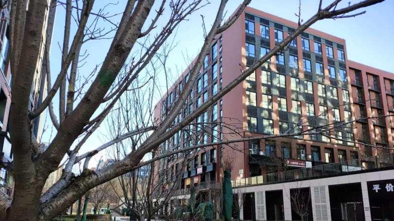 红米手机|Redmi K60首发体验：联合研发带来屏幕体验革新，续航依旧霸榜