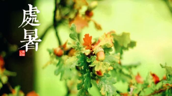 处暑将至，1肉2菜3果记得吃，顺应时节味道鲜，应季而食好入秋