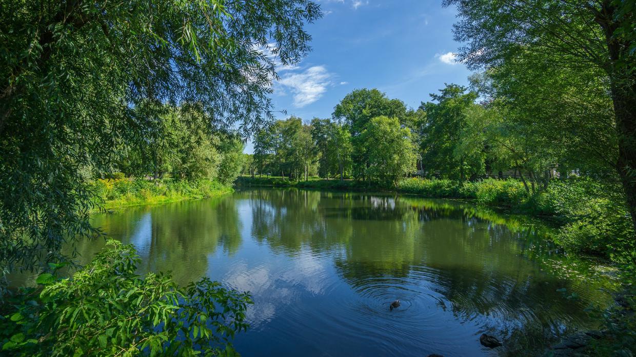 上海市|千万别做职场好人，好人永远不受待见
