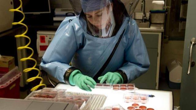 必须赴美调查！权威专家：病毒可能来自美国生物实验室