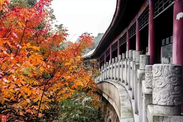 北京市|免费！国内超良心的10个5A景区，超高人气，个个都是人间仙境！