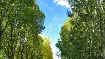 |如何成功融入职场？