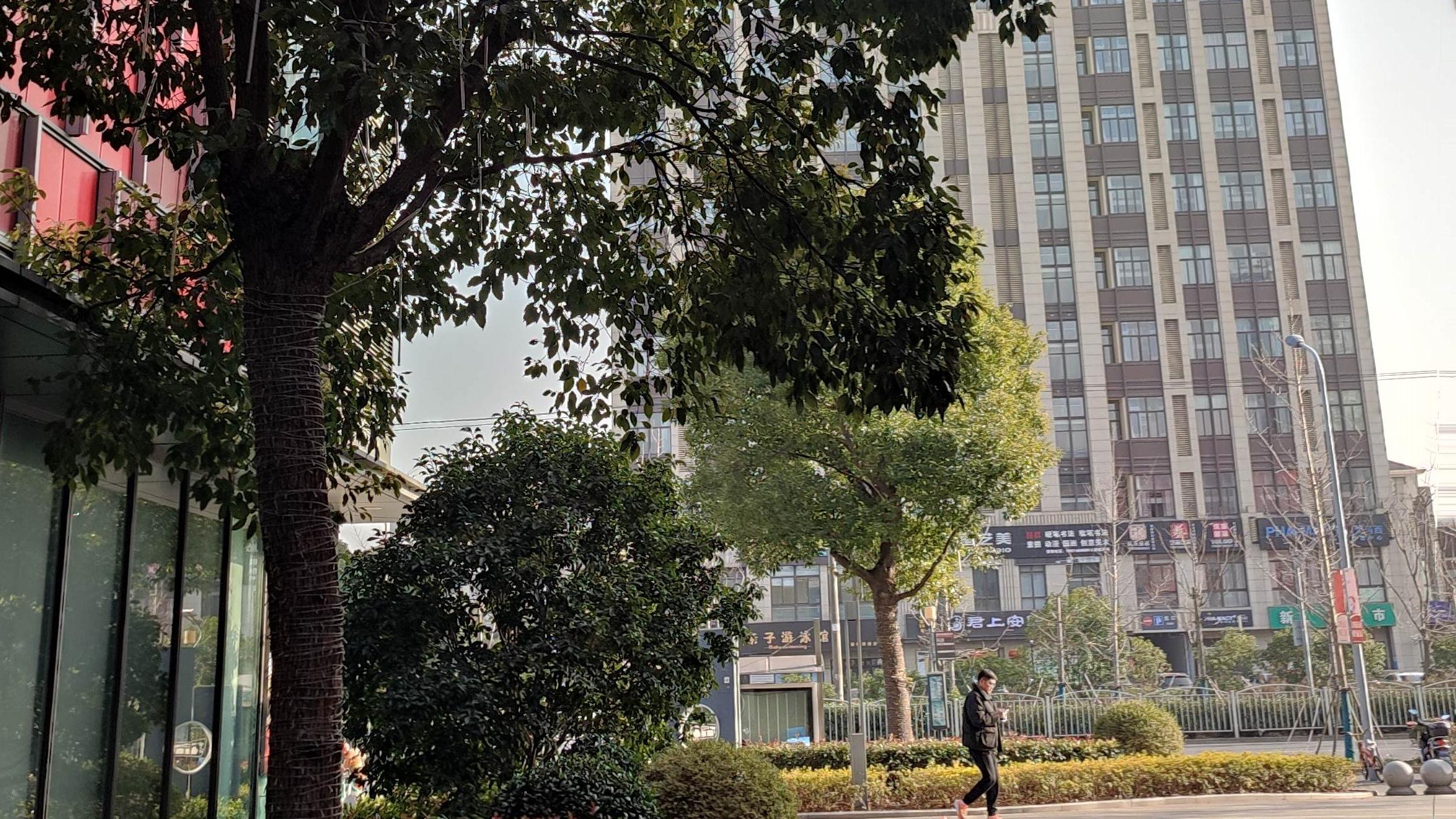 |做领导，就得有个领导的样子，哪怕是赤裸裸的伪装