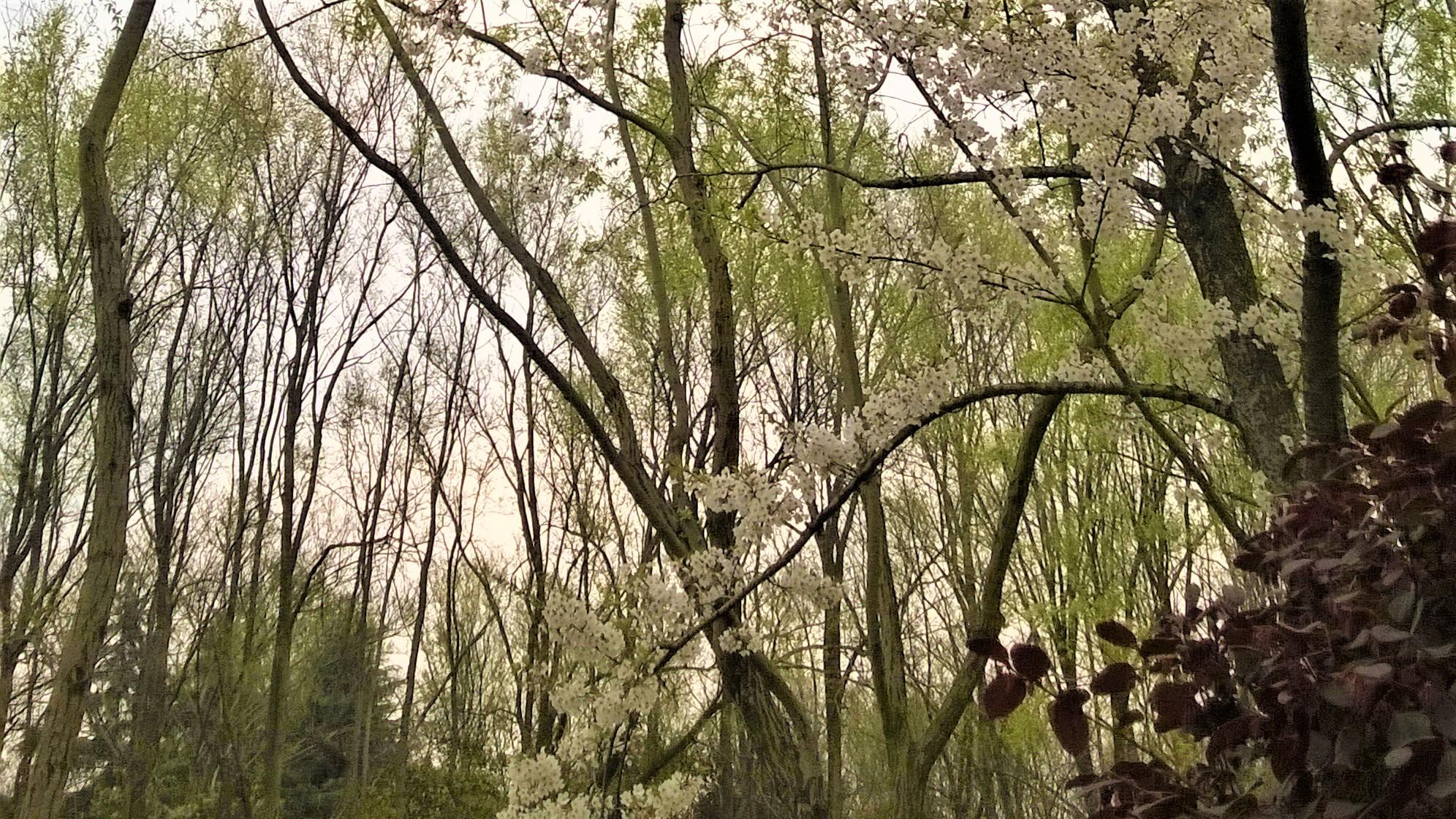 |冷眼职场：捧高踩低，不过是寻常