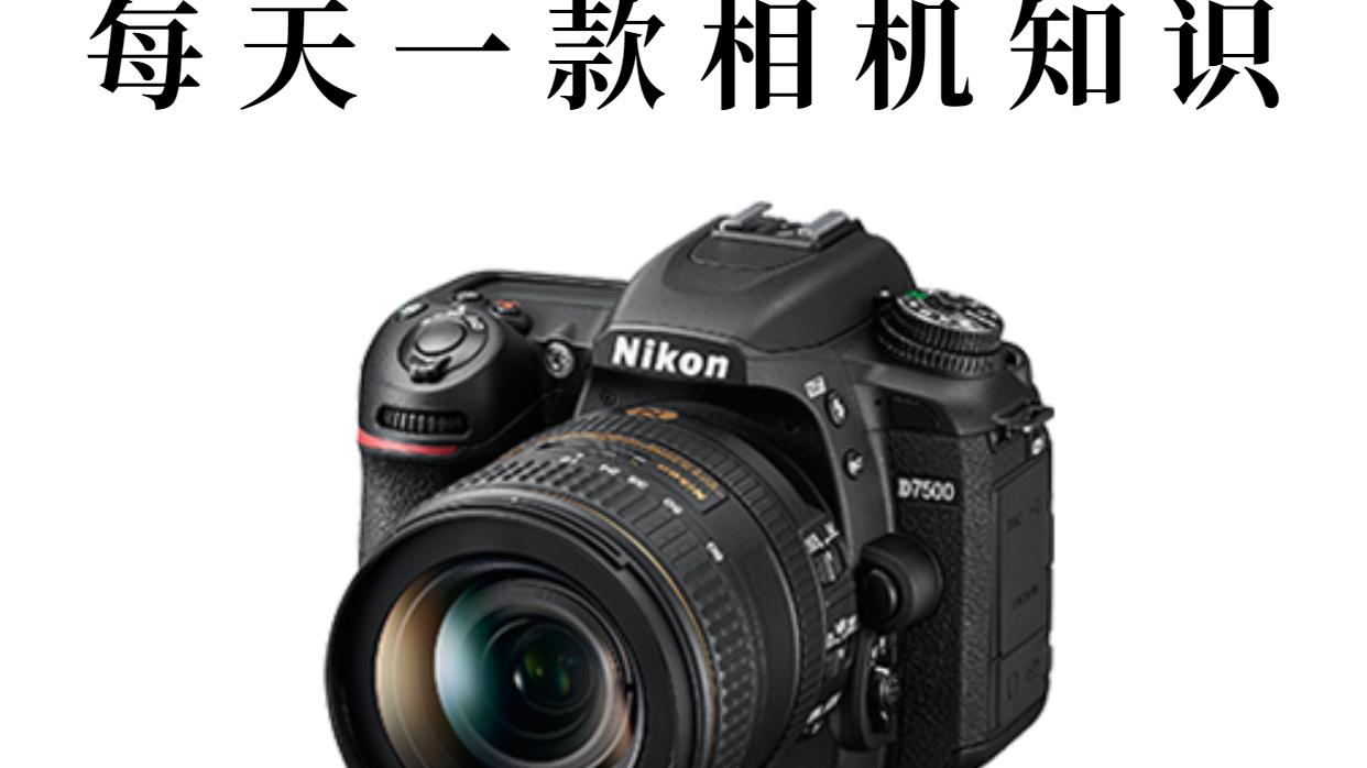 每天一款相机知识——尼康 D7500