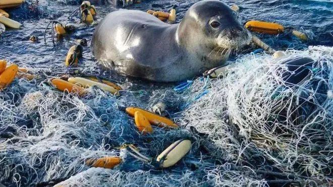 【科学强国】拯救地球！把不可降解垃圾变为香料和药物