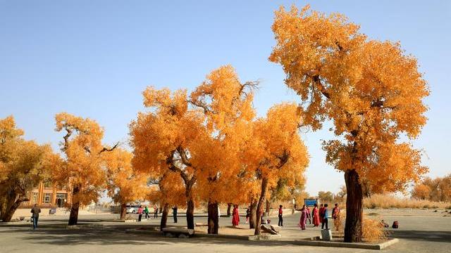 退休|出去自驾游你们都喜欢结伴或者拼车吗？