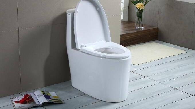购买马桶，没必要听销售员“瞎忽悠”，注意这5点即可