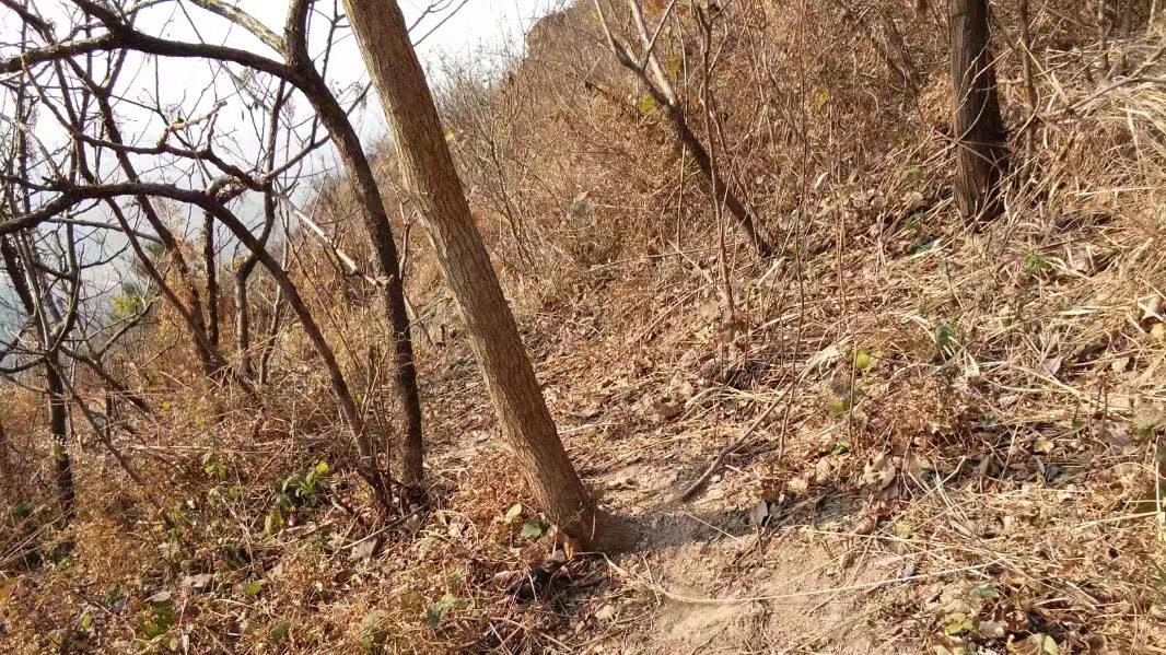 两个青年男子上山游玩，被一群中年道姑抓进道观里，一个月后变得骨瘦如柴