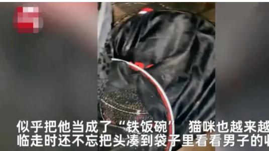 重庆，一名男子7天里3次跑到水库钓鱼时都遇到了一只猫，有鱼上钩就给猫吃一些