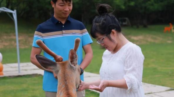 余秀华|余秀华崩溃发文：杨又来我家两次，还不知羞愧的说把我睡了！
