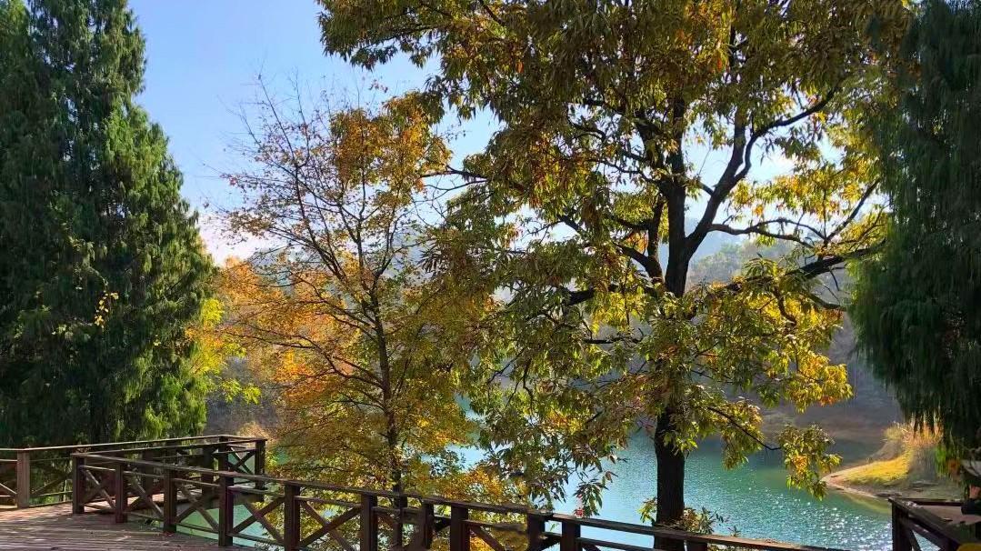 千岛湖|杭州千岛湖，居然藏着一个遛娃拍照赏秋胜地，免费却少有游客知