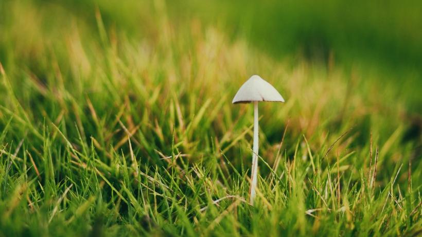 庞统|对感情很现实的星座，不会过度迷恋，也不会过于挑剔