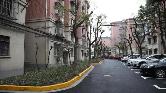 女子自费装修出租房，房东租期未到就反悔，并要求拿走自己的装修