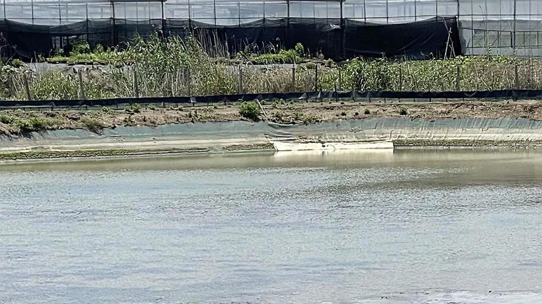 浙江嘉兴上空传来巨响，掉下一块黑色不明物体，挖了两天没找到