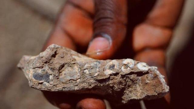揭开200多万年前古人类的“神秘面纱”，非洲未必是人类唯一起源