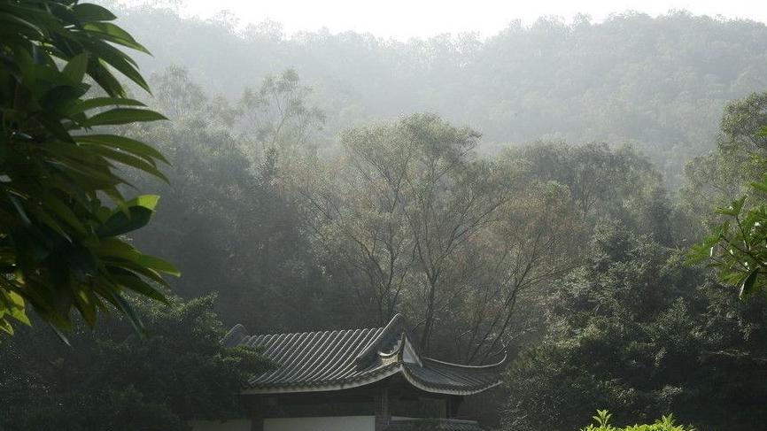 诗人隐居山林，却被两个女子成全了终身大事。