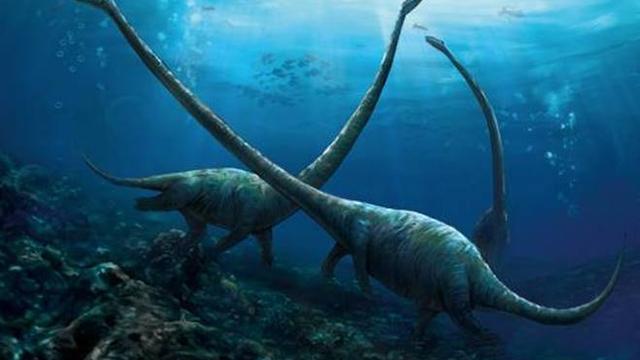 这些生物同为长颈龙，为何有的脖子长，有的脖子短？