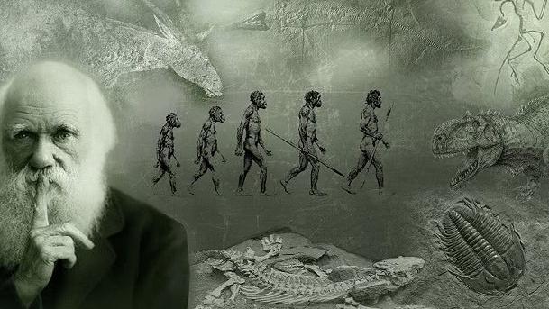 人类几千年没有变化了，是人类停止进化了吗？专家：其实还在继续