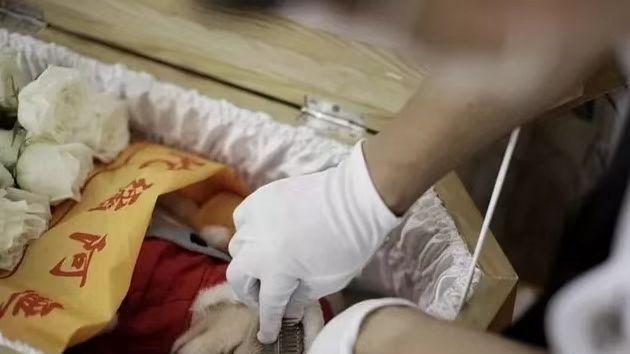 许多|这“3个行业”在疫情下兴起，收入不输公务员，却不被家长待见