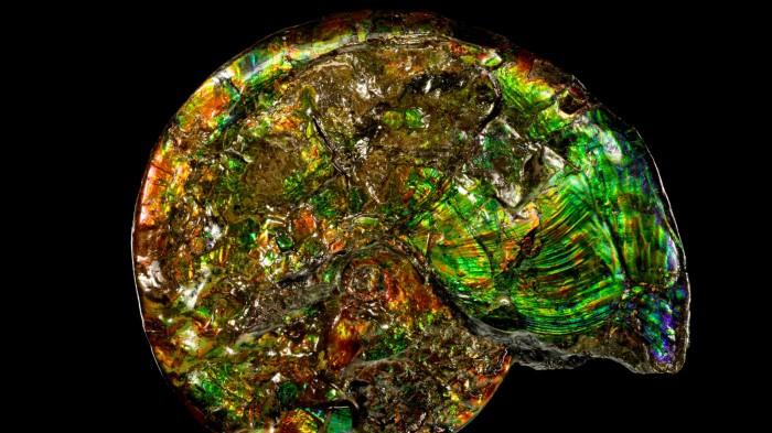 研究发现生命帮助制造了地球上几乎一半的矿物