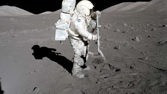 NASA：“把月球尘土和蟑螂还给我们”