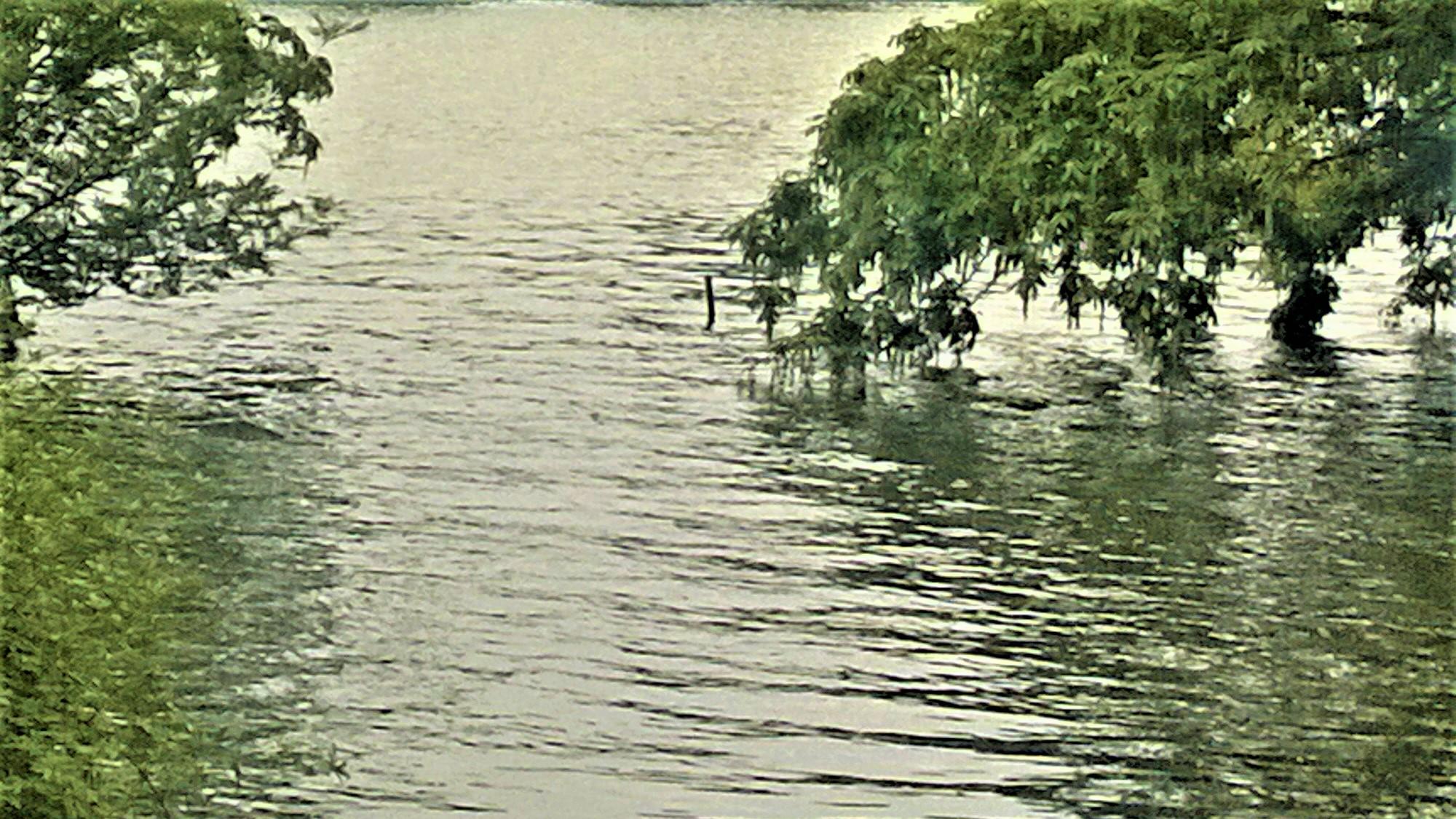 |职场站队故事之：不站队