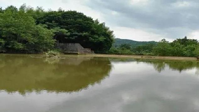 饵料|夏季野钓，别急着下竿！做好4步，鱼获更上一层楼，新手也可连竿