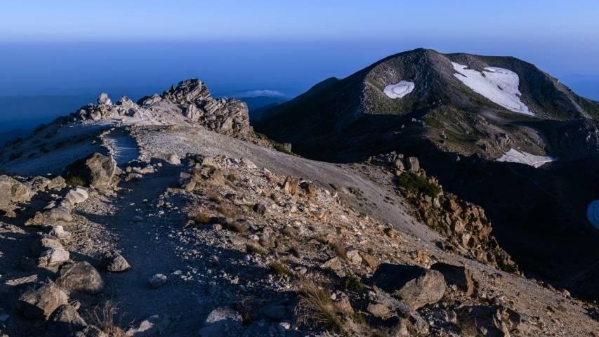 国美电器|嘲笑国美不如寻找家电零售的“自救路”