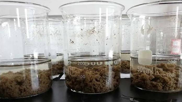 絮凝剂聚丙烯酰胺都知道，但微生物絮凝剂是一种什么样的絮凝剂？