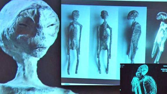 秘鲁纳斯卡线附近出土的三指木乃伊，类人DNA谱系揭露了什么？
