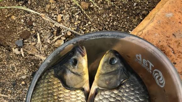 |野钓真的只能看天凭运气钓鱼？任何天气都能钓鱼，套路不同而已