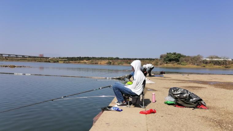 猪肝|别只会钓鱼，试试用猪肝钓甲鱼，完全不一样的体验