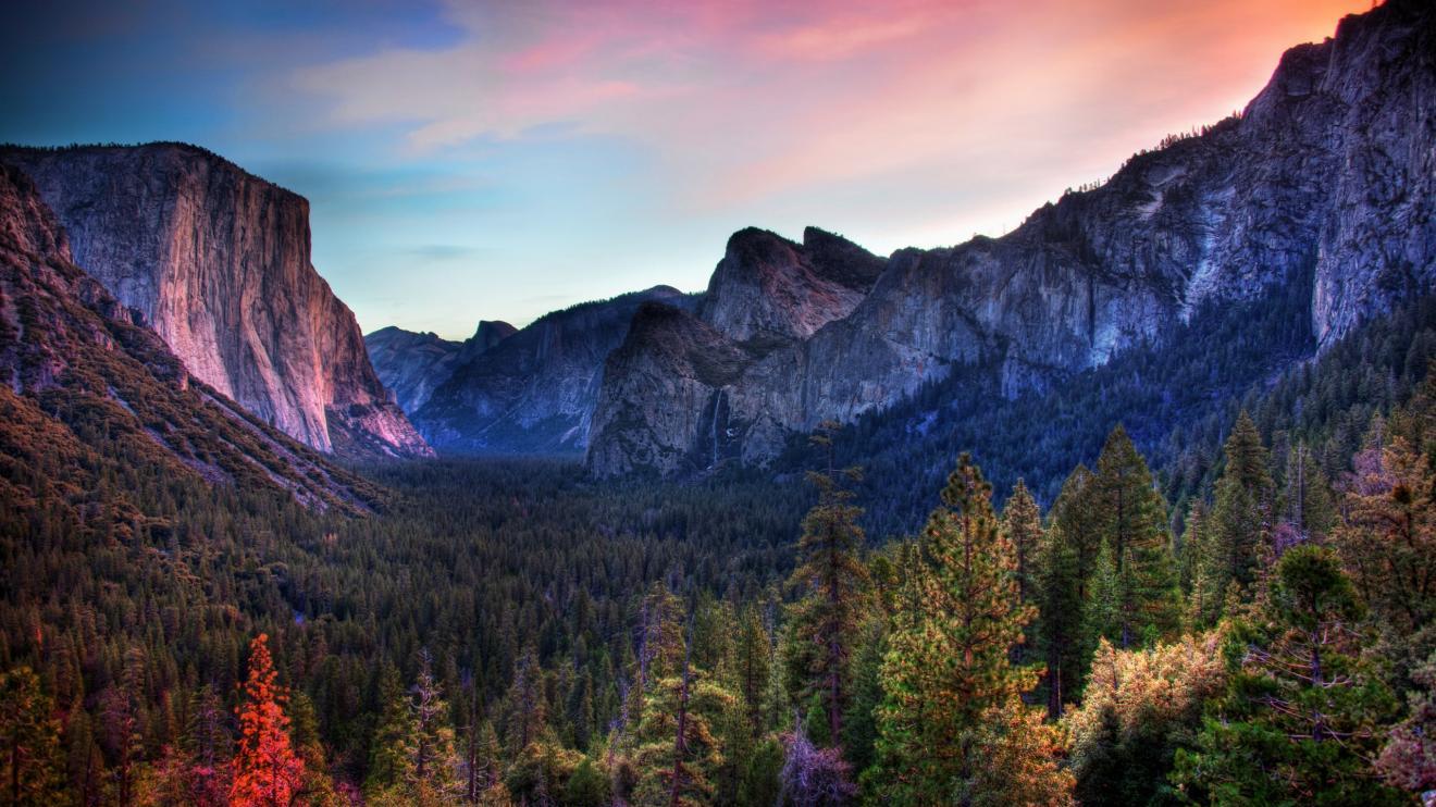 电子竞技|职场人只认三样东西，能力、精明、本心，没有这三样东西毫无胜算