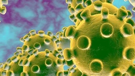 地球上万物都是相生相克的，那么病毒在自然界的天敌是什么？