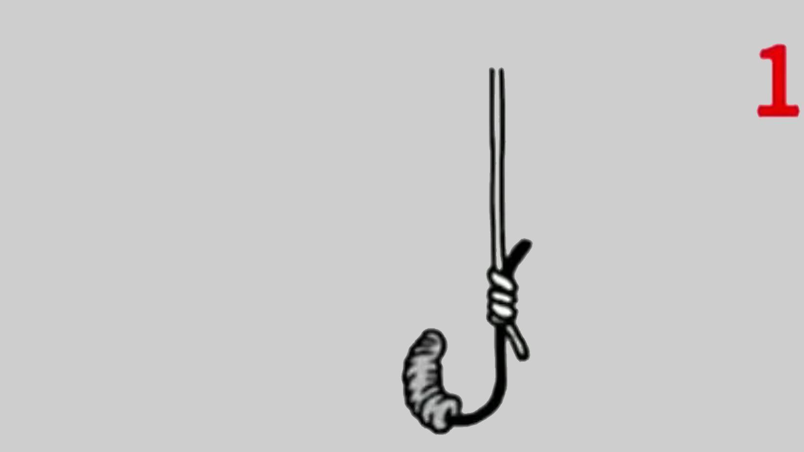 |用蚯蚓钓鱼，常用的6种挂钩方法，挂钩不正确有鱼咬钩也难钓到