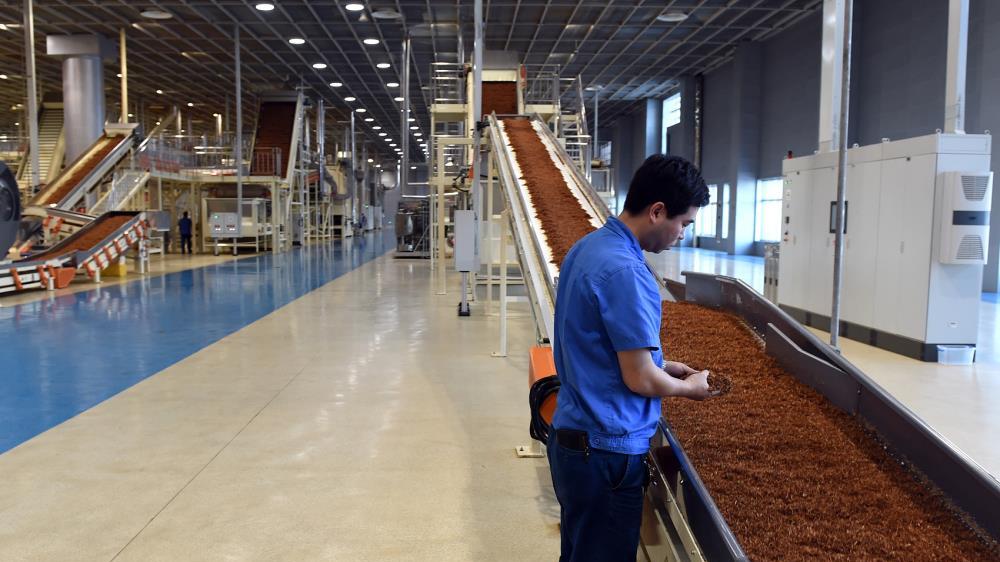 清华大学|大学生不愿意下车间吗？清华本科、湖大博士被录用为烟草厂操作工