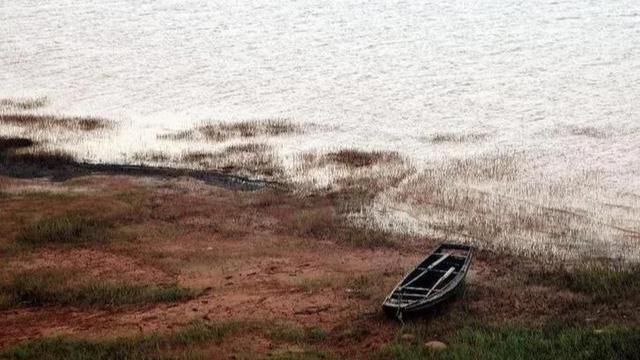 长江|长江三年禁渔成果毁于天灾？