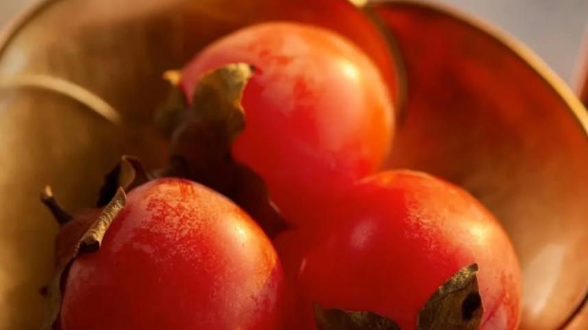 生肖|明后年要主动求职为好的生肖