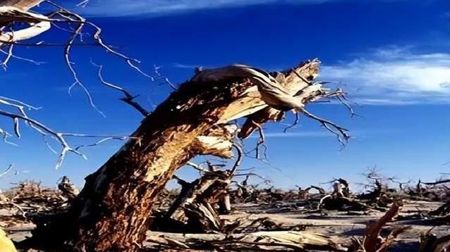 中国“死亡之海”罗布泊正在“复活”，引来世界各国关注