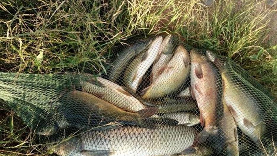 |晚秋野钓，2不选2不钓，天气变冷，钓鱼技巧跟着变