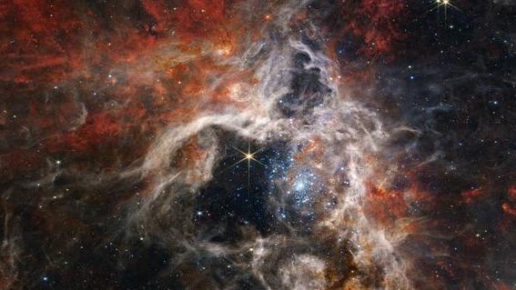 韦伯太空望远镜新拍摄了狼蛛星云，无数恒星亮光清晰可见