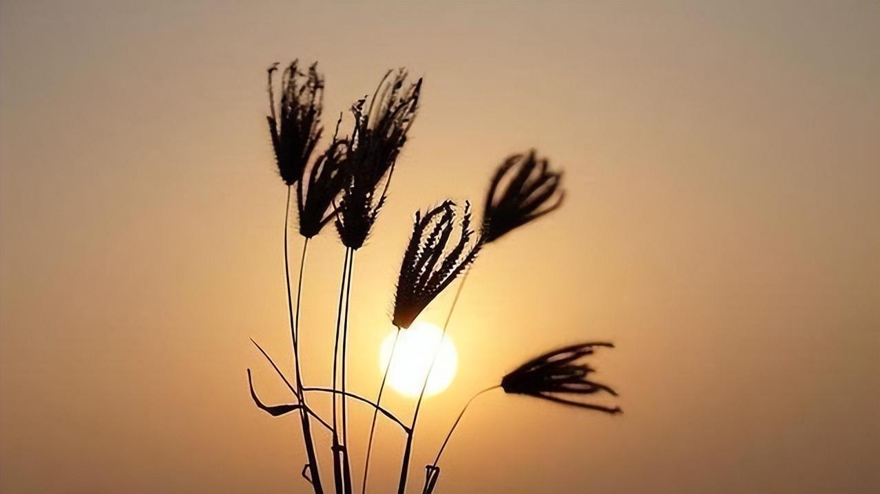 南京|你再善良，也不要帮亲家的这三种忙，换不来感激还落埋怨