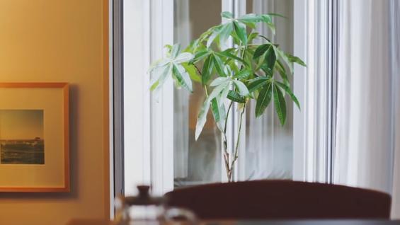 超实用的「家居极简收纳术」，帮你轻松告别杂乱，很适合懒人！