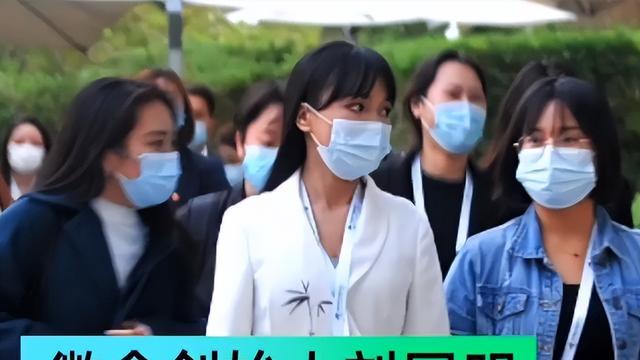 李子柒|李子柒与公司和解！知情人不看好她重获流量，运营僵局伤害了双方！