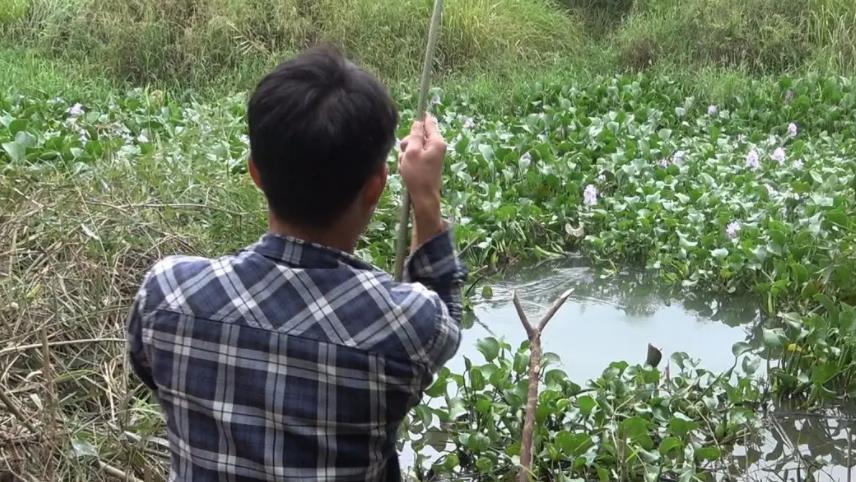 |为什么说“钓鱼不钓草，等于瞎胡跑”？