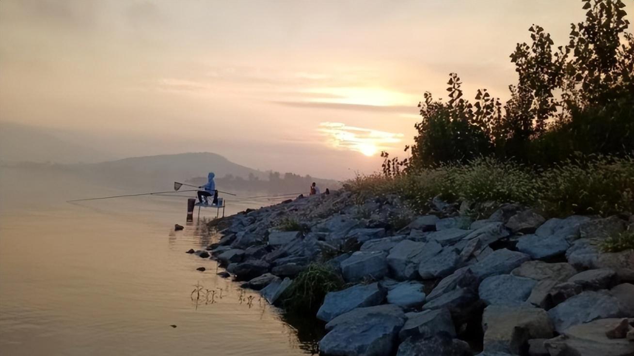 |从现在到中秋节，野钓鲤鱼，认准这三种味型