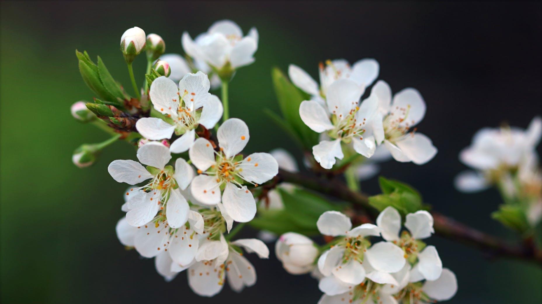 Angelababy|男人有如下特征，不但给不了你真爱，还会让你处处受气