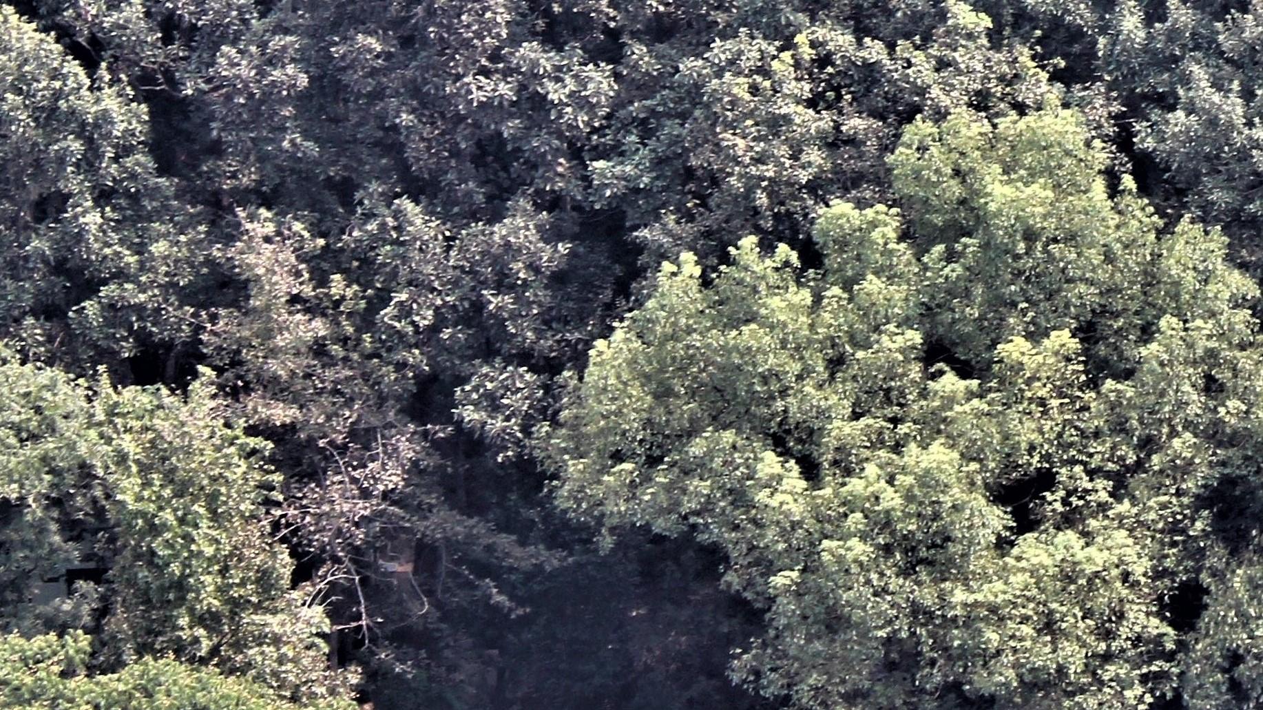 |职场，存在私人关系吗？